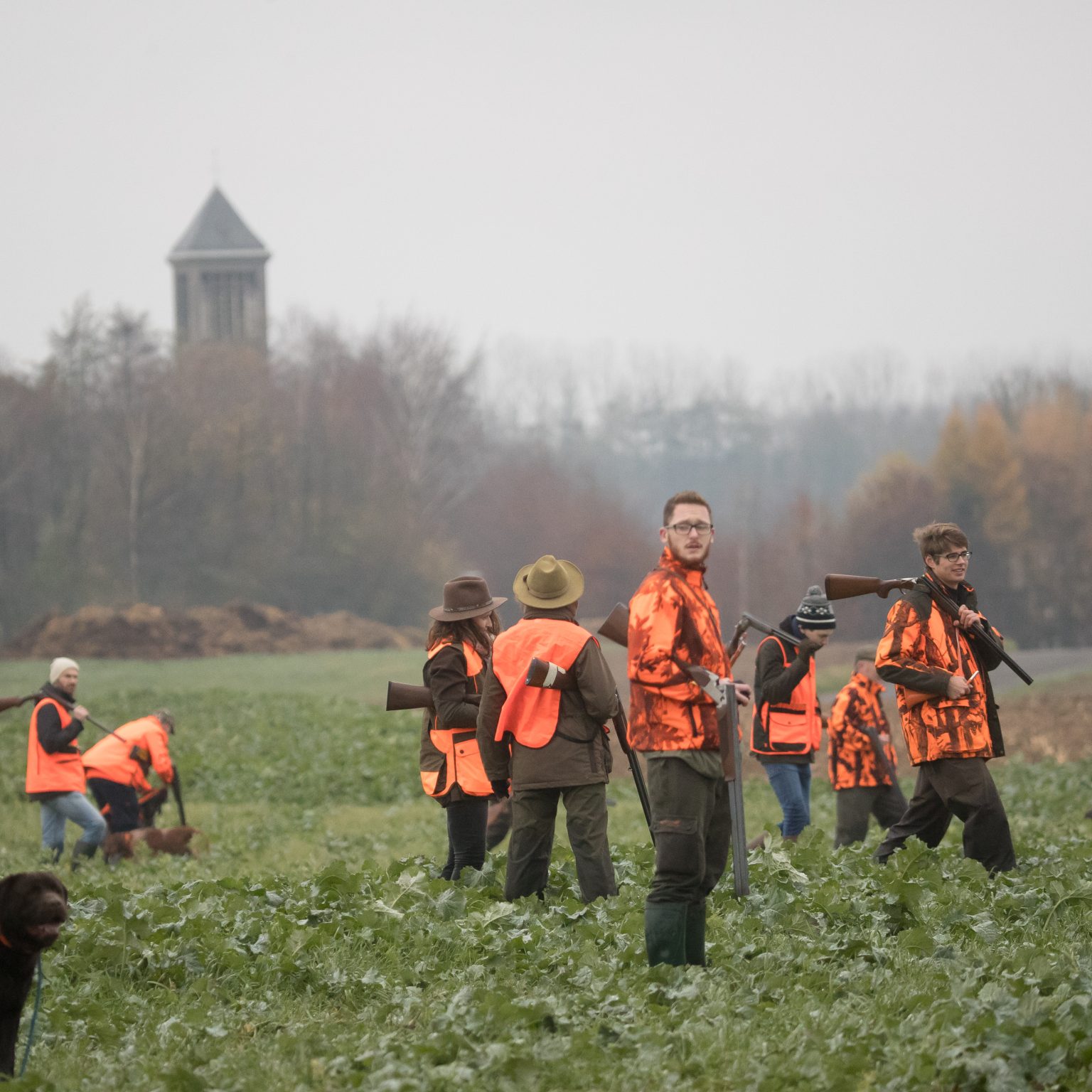 actionchasse_plaine_dgest_fnc202000013