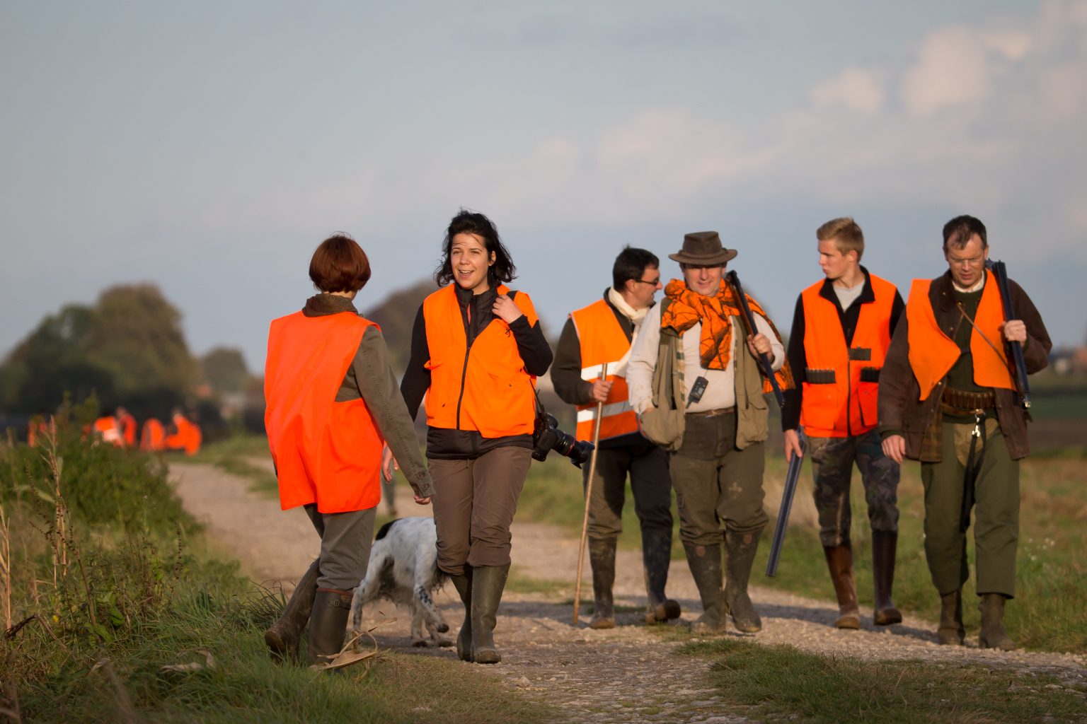 actionchasse_plaine_fnc_dgestim2016t09